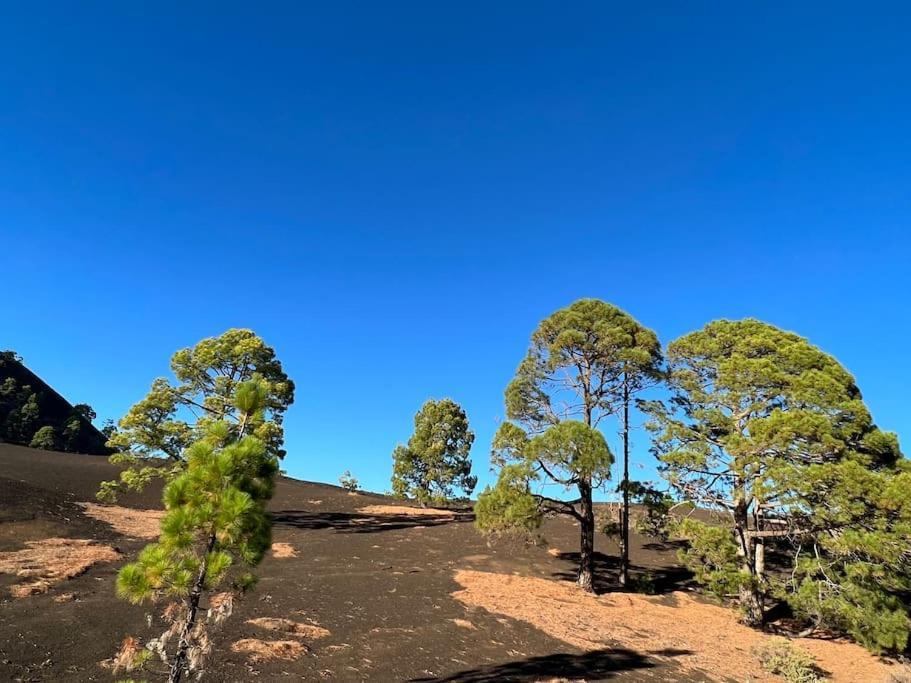 Altamira Apartment-vista Gomera-playa Del Duque